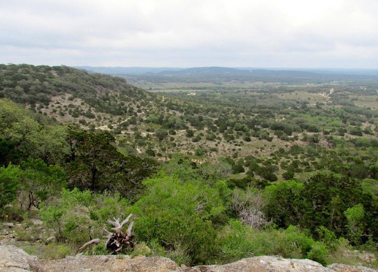 Hill Country State Natural Area